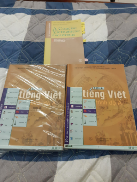 Vietnamese beginner textbook